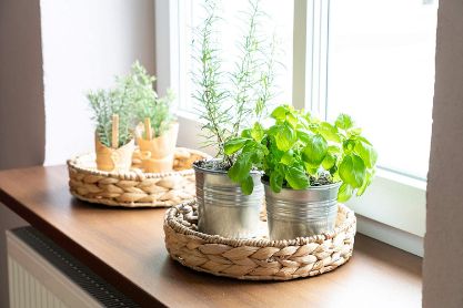 JUTABOWL-GALLERY-IMG3-min