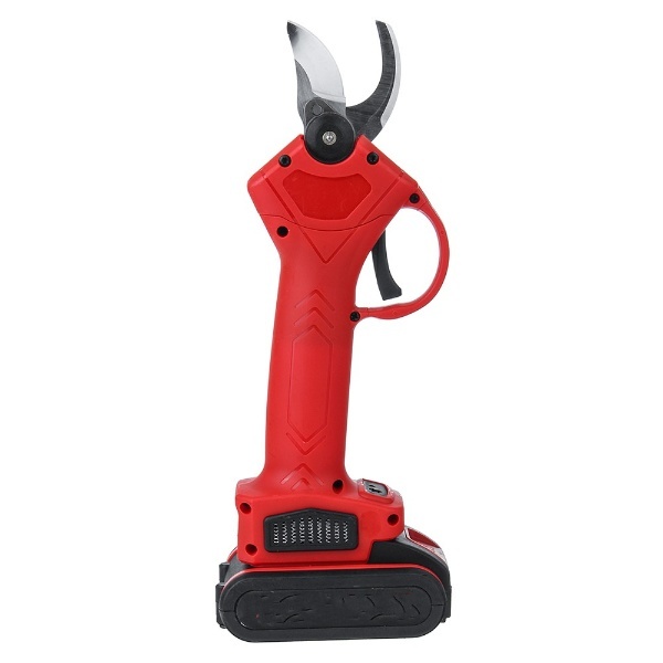 WHIZZPRUNER-2