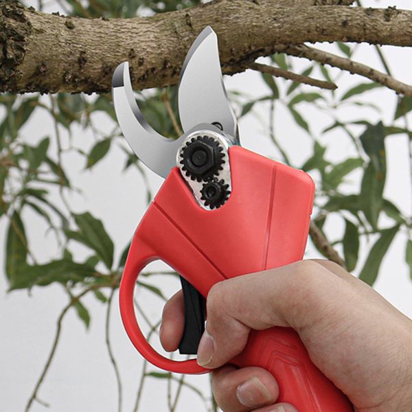 WHIZZPRUNER4-1