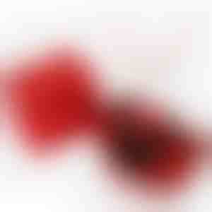 Colier într-o cutie cadou | HEARTS_APPLEROSE