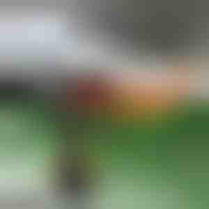 Încălzitor auto și dezghețător parbriz | TURBOCUP