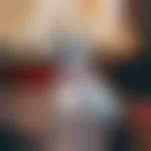 Zgardă pentru câine în stil festiv| DOGICOLLAR