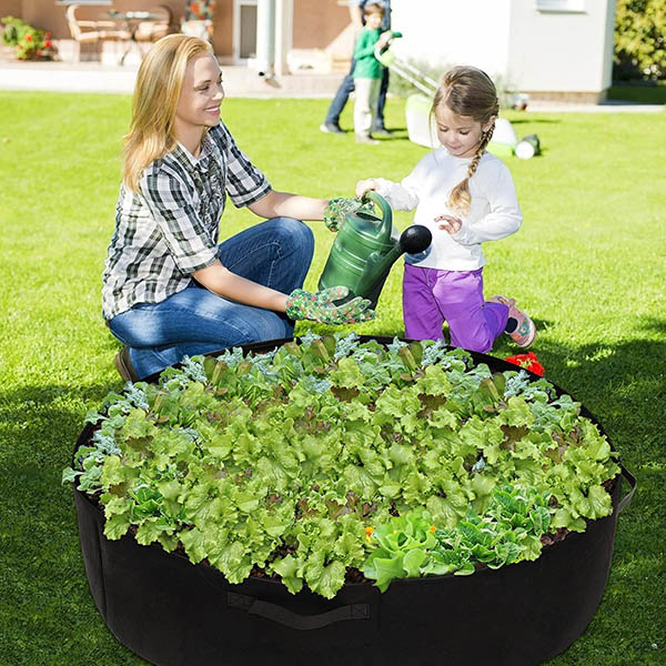 PLANTIE12085__f4e5bbcd