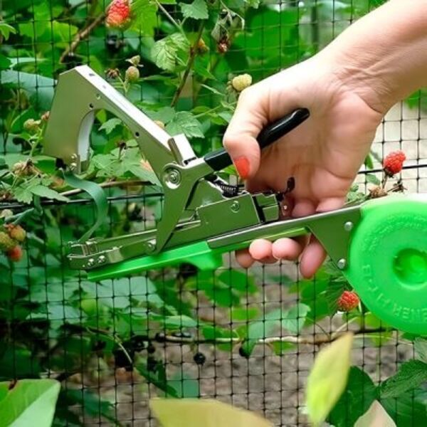 PLANTBRANDTAPE18959__280525