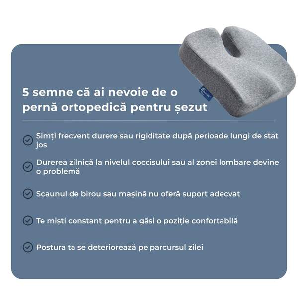 CUSHSEAT-3831127642046-RO-5__140926