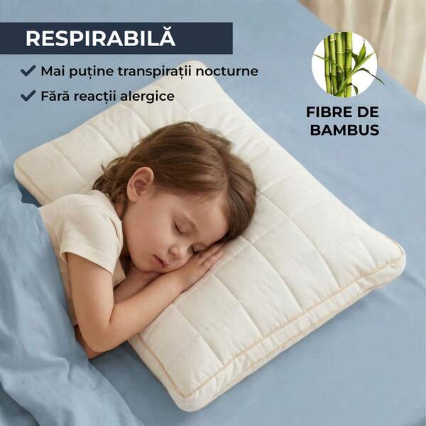 MINIDREAM-3831127599472-RO-2__070926
