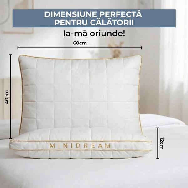 MINIDREAM-3831127599472-RO-6__070926